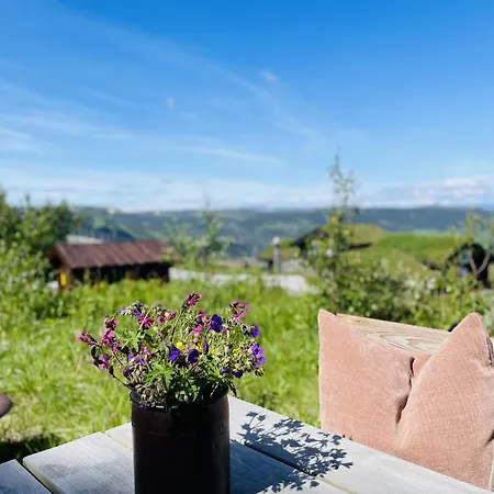 Geilo-kikut, Ski-in, Ski-out With Stunning Trails And Perfect Location *