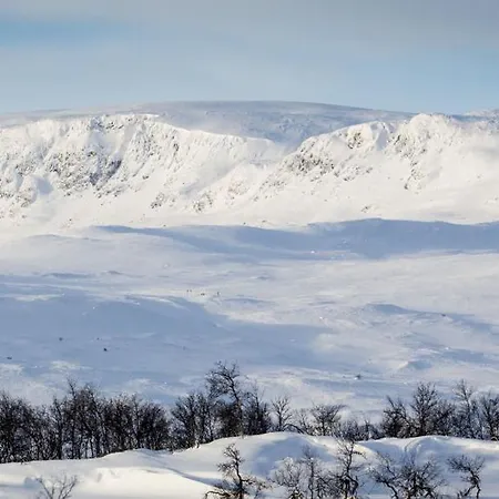 Geilo-kikut, Ski-in, Ski-out With Stunning Trails And Perfect Location Geilo