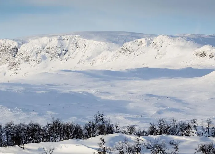 Geilo-kikut, Ski-in, Ski-out With Stunning Trails And Perfect Location Geilo