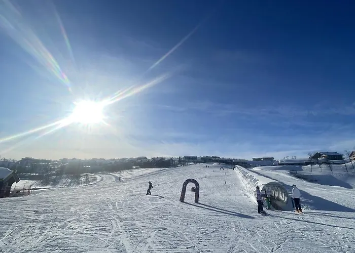 Geilo-kikut, Ski-in, Ski-out With Stunning Trails And Perfect Location * Geilo